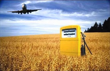 KLM produzirá combustíveis renováveis no Brasil