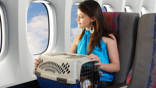 Gol libera embarque de cães e gatos na cabine